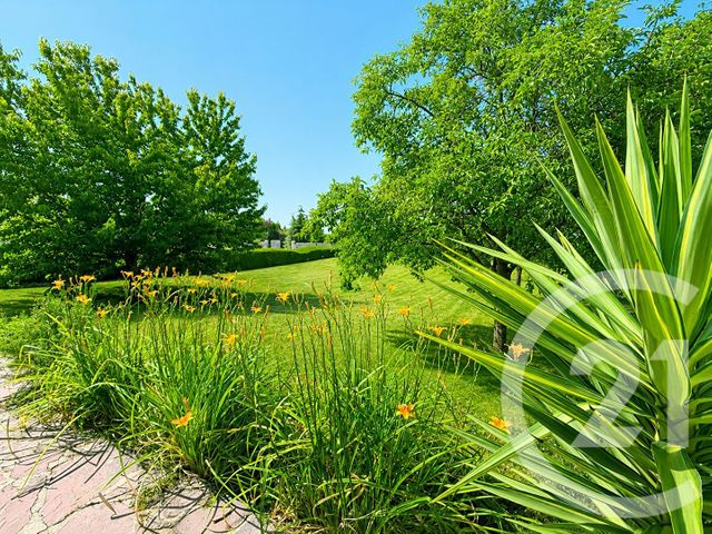 maison à vendre - 7 pièces - 179.63 m2 - ST MARTIN EN BIERE - 77 - ILE-DE-FRANCE - Century 21 Parc & Château